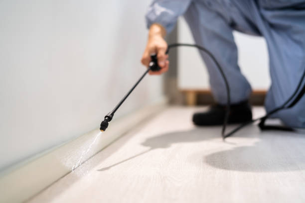 Professional exterminator conducting IPM assessment in Slaughterville